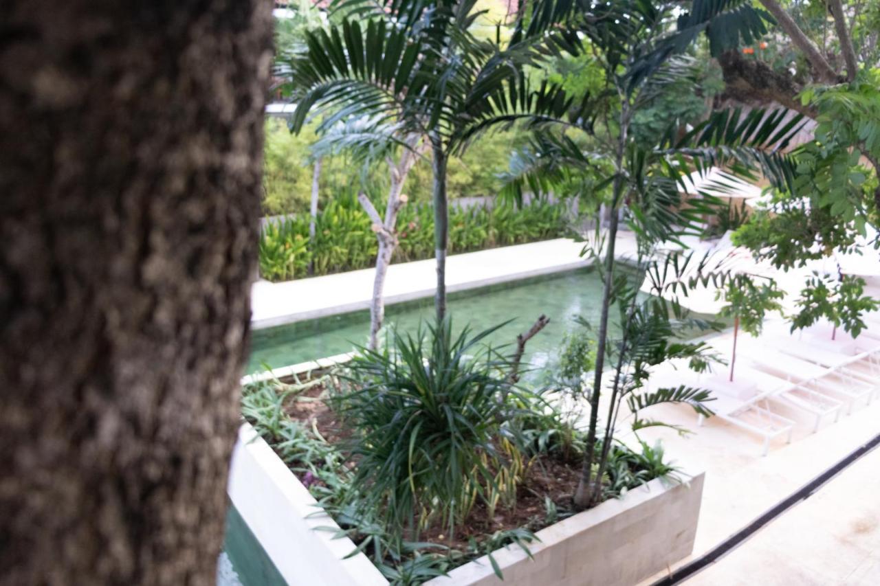Sayang Sanur Duplex 아파트 외부 사진